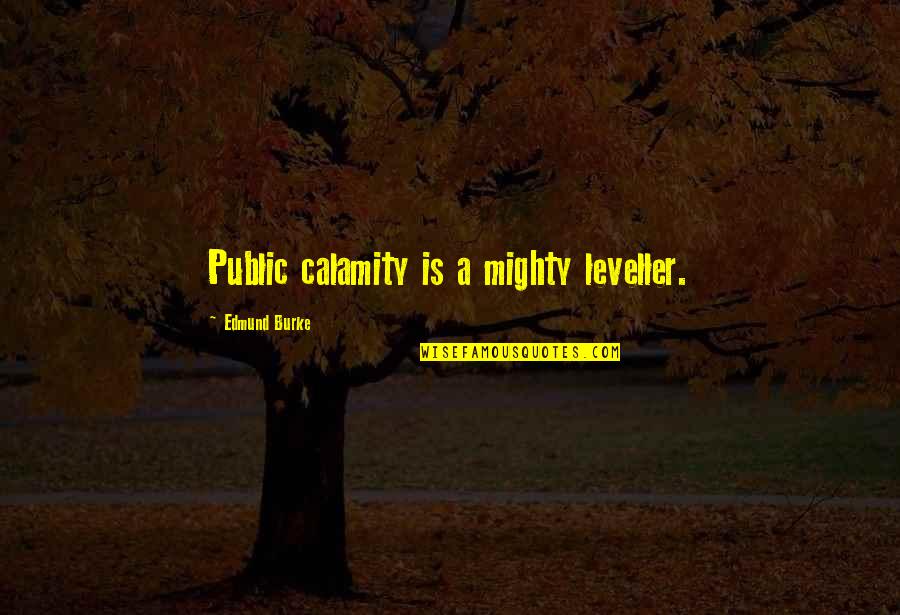 Presidenttrump Quotes By Edmund Burke: Public calamity is a mighty leveller.