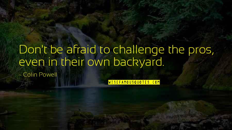 Pressentimento Significado Quotes By Colin Powell: Don't be afraid to challenge the pros, even