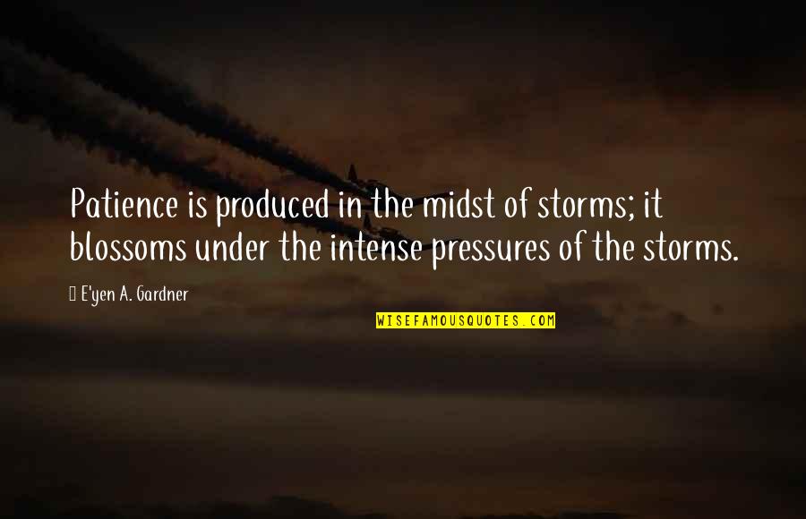 Pressures Quotes By E'yen A. Gardner: Patience is produced in the midst of storms;