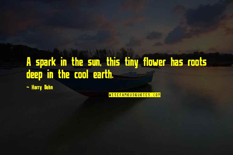 Prestaciones Sepe Quotes By Harry Behn: A spark in the sun, this tiny flower