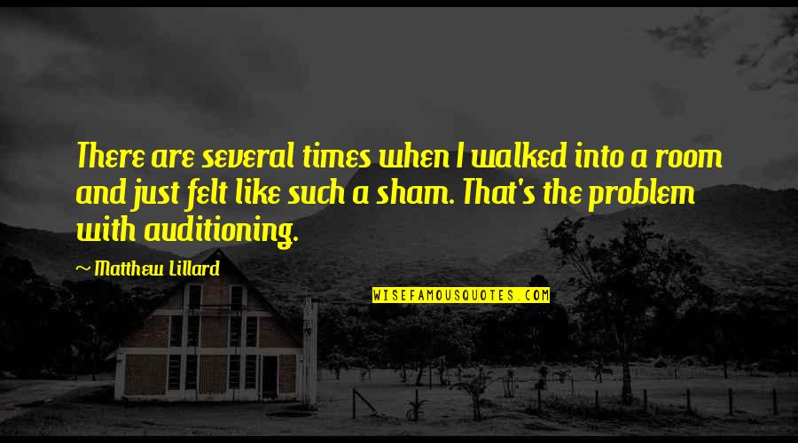 Prestenbach Quotes By Matthew Lillard: There are several times when I walked into
