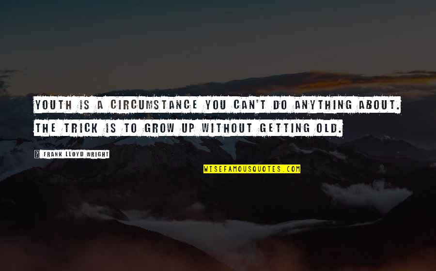 Prestige Website Quotes By Frank Lloyd Wright: Youth is a circumstance you can't do anything