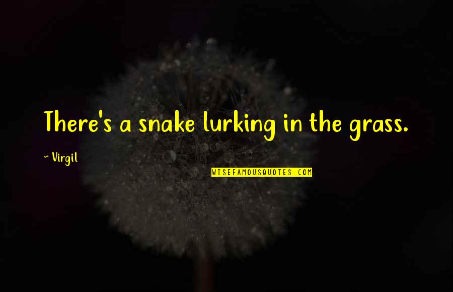 Presuppositionalism Vs Evidentialism Quotes By Virgil: There's a snake lurking in the grass.