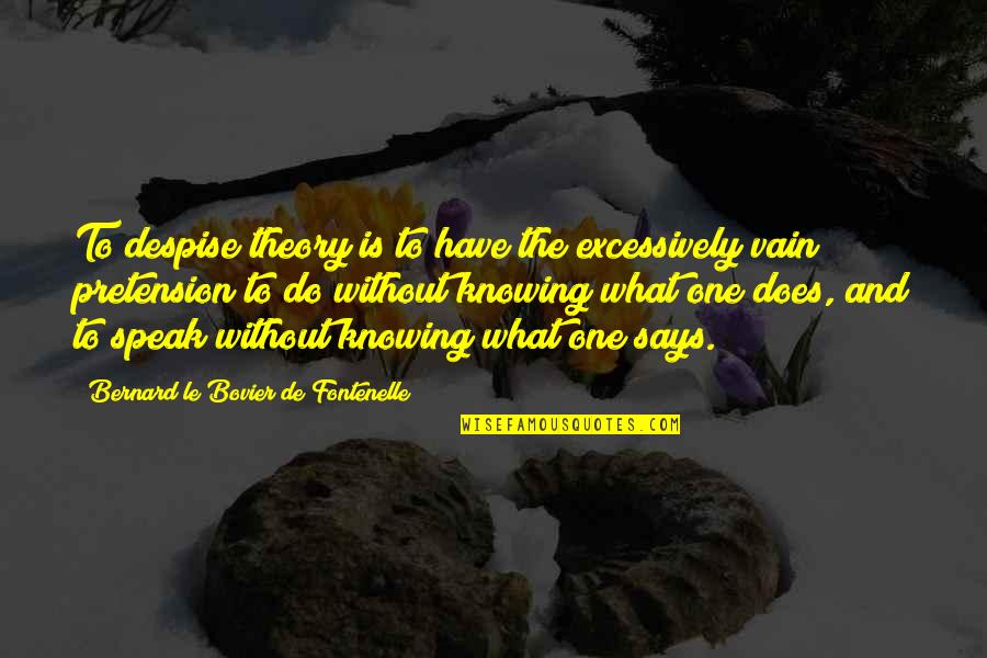 Pretension Quotes By Bernard Le Bovier De Fontenelle: To despise theory is to have the excessively