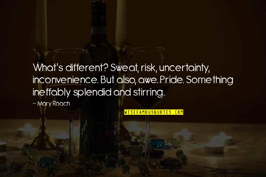 Pretensive Quotes By Mary Roach: What's different? Sweat, risk, uncertainty, inconvenience. But also,