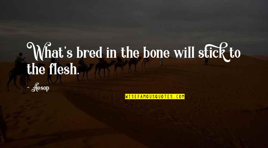 Pretentiousness Quotes By Aesop: What's bred in the bone will stick to