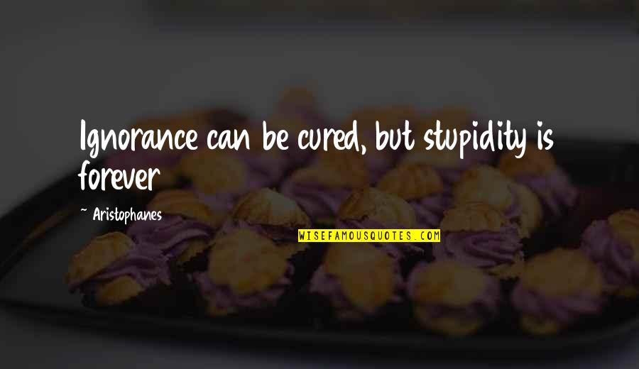 Pretheoretical Quotes By Aristophanes: Ignorance can be cured, but stupidity is forever