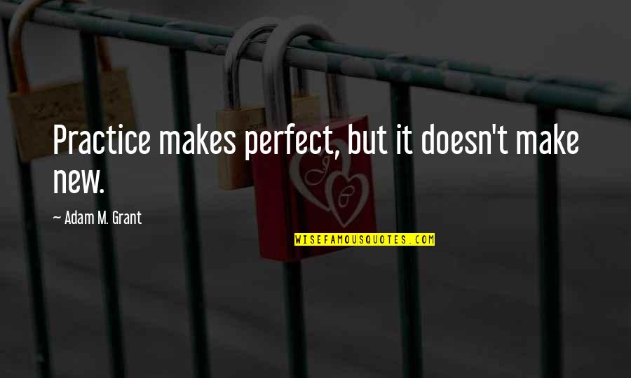 Prettier Than Her Quotes By Adam M. Grant: Practice makes perfect, but it doesn't make new.