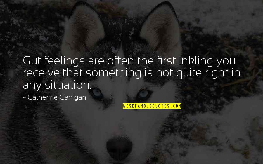 Prettige Eindejaarsfeesten Quotes By Catherine Carrigan: Gut feelings are often the first inkling you