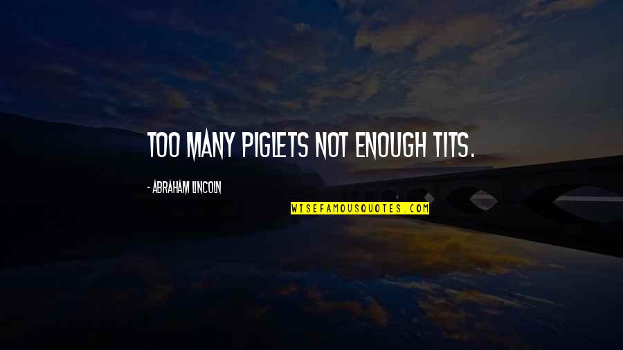 Pretty Skies Quotes By Abraham Lincoln: Too many piglets not enough tits.