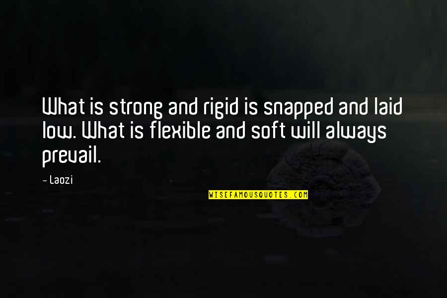 Prevail Quotes By Laozi: What is strong and rigid is snapped and