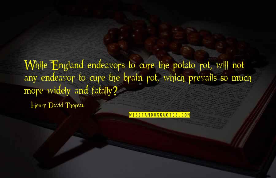 Prevails Quotes By Henry David Thoreau: While England endeavors to cure the potato-rot, will