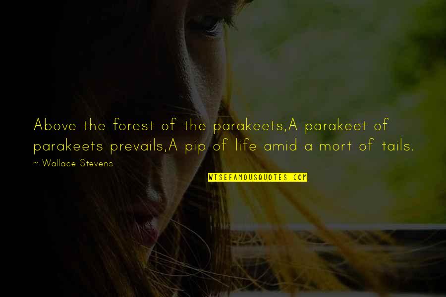 Prevails Quotes By Wallace Stevens: Above the forest of the parakeets,A parakeet of