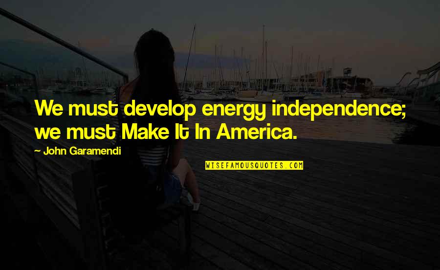Prevent Elder Abuse Quotes By John Garamendi: We must develop energy independence; we must Make