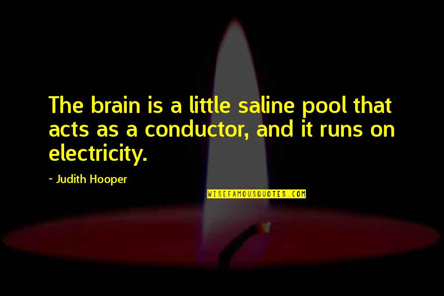 Prevent Smoking Quotes By Judith Hooper: The brain is a little saline pool that