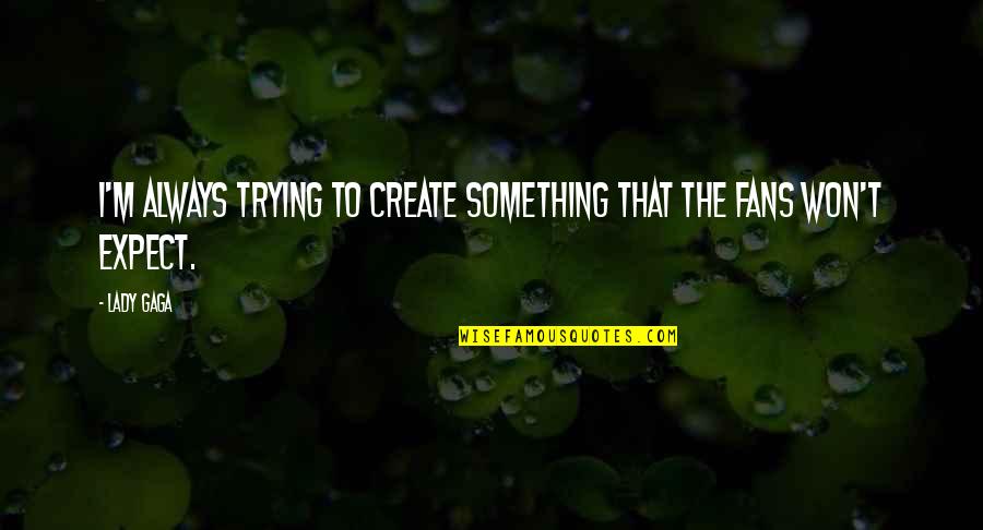 Preventives For Dog Quotes By Lady Gaga: I'm always trying to create something that the