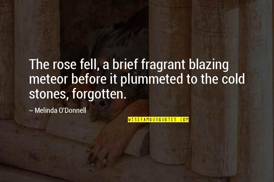 Previsto In Inglese Quotes By Melinda O'Donnell: The rose fell, a brief fragrant blazing meteor