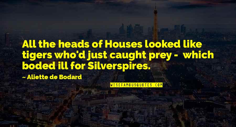 Prey Quotes By Aliette De Bodard: All the heads of Houses looked like tigers