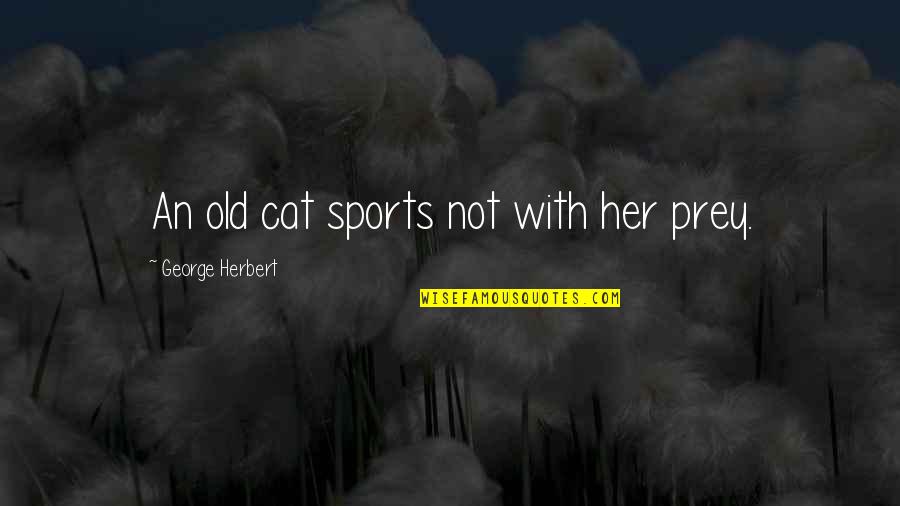 Prey Quotes By George Herbert: An old cat sports not with her prey.