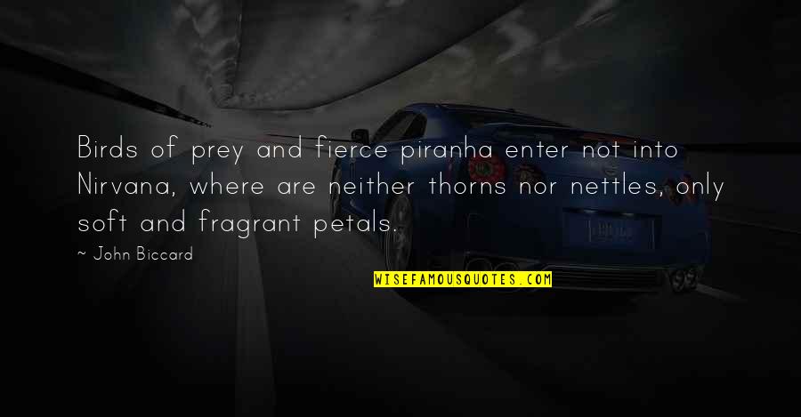 Prey Quotes By John Biccard: Birds of prey and fierce piranha enter not