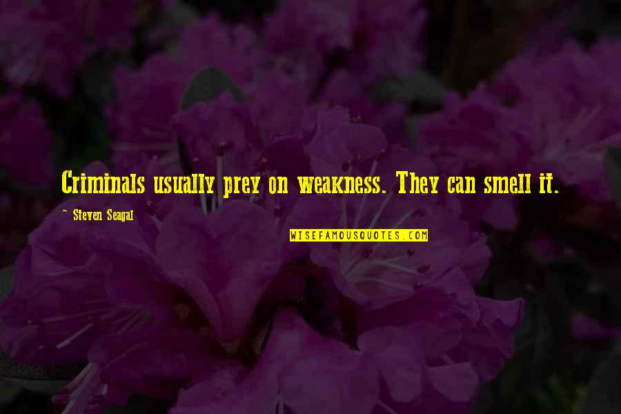 Prey Quotes By Steven Seagal: Criminals usually prey on weakness. They can smell Prey Quotes By Steven Seagal: Criminals usually prey on weakness. They can smell