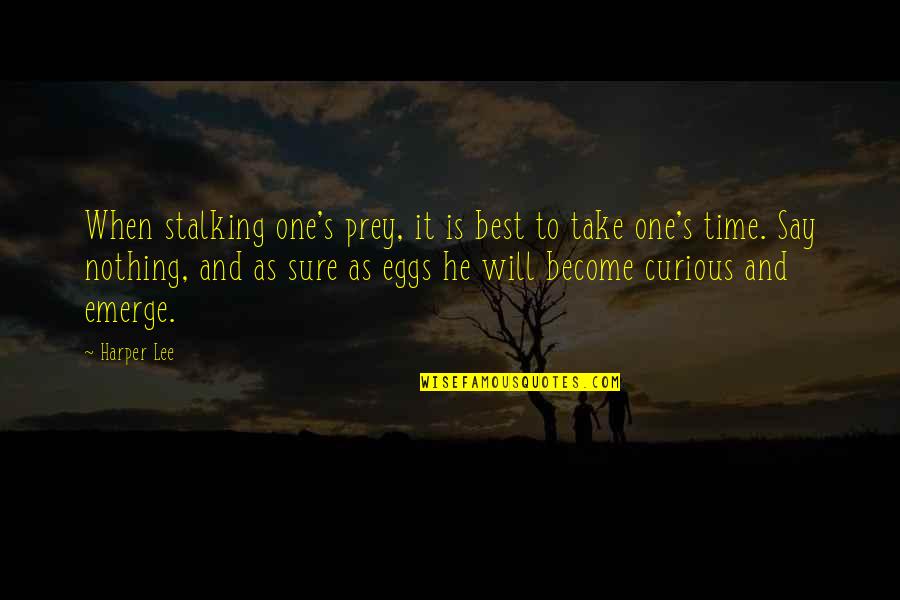 Prey's Quotes By Harper Lee: When stalking one's prey, it is best to Prey's Quotes By Harper Lee: When stalking one's prey, it is best to