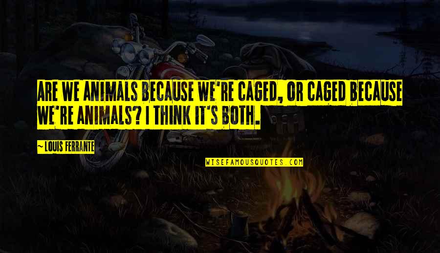 Prezerwatywy Opozniajace Quotes By Louis Ferrante: Are we animals because we're caged, or caged Prezerwatywy Opozniajace Quotes By Louis Ferrante: Are we animals because we're caged, or caged