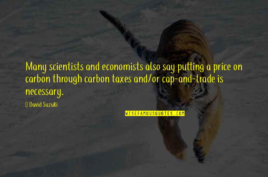 Price Or Quotes By David Suzuki: Many scientists and economists also say putting a