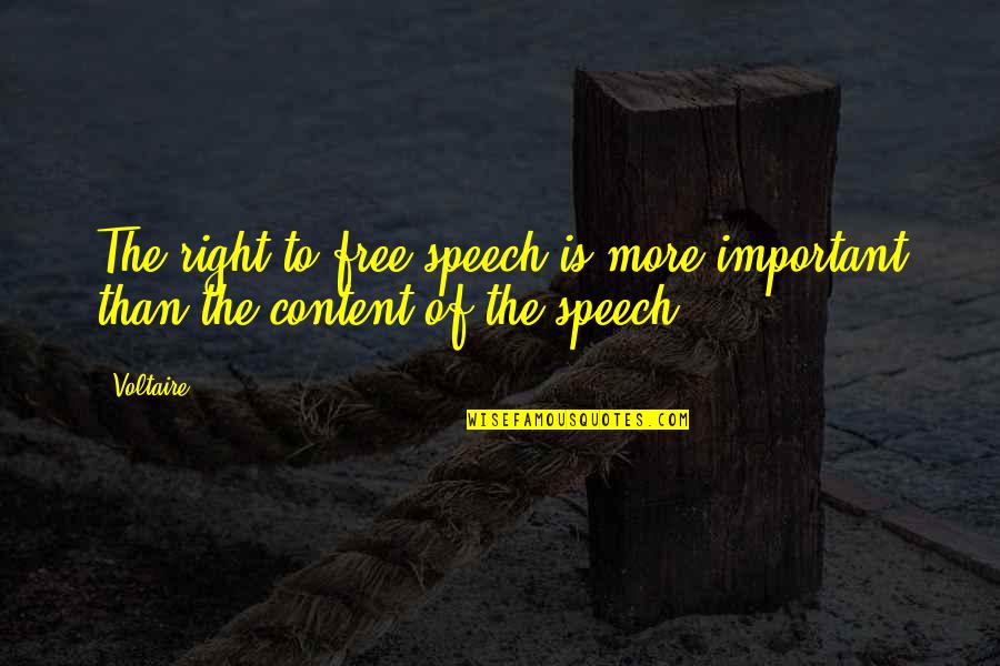 Priceless Friendship Quotes By Voltaire: The right to free speech is more important