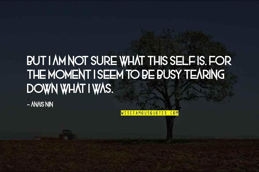 Priceless Pic Quotes By Anais Nin: But I am not sure what this self