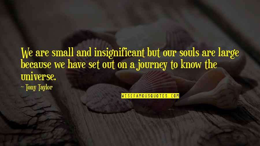 Prichard's Quotes By Tony Taylor: We are small and insignificant but our souls