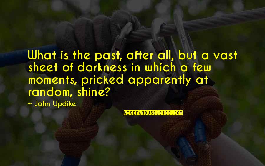 Pricked Quotes By John Updike: What is the past, after all, but a