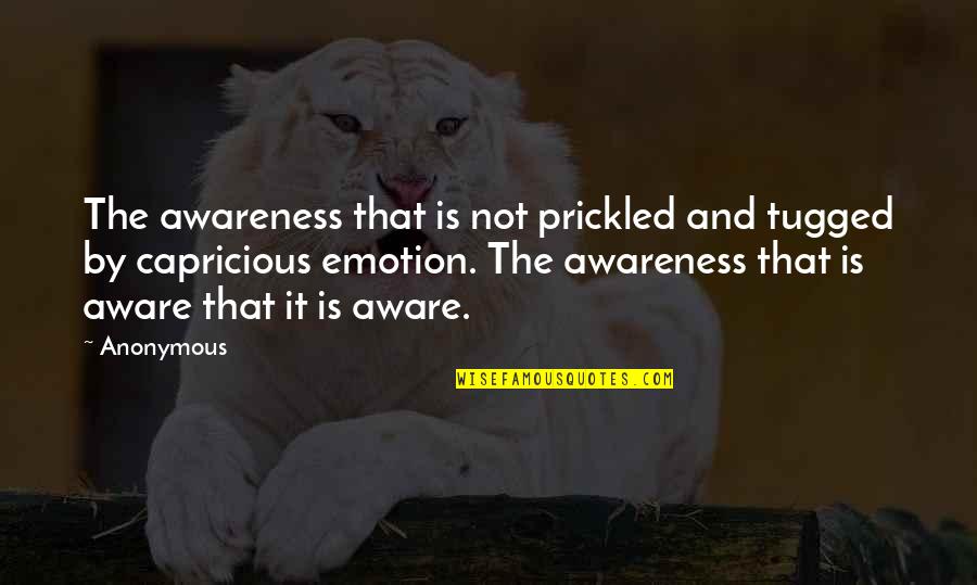 Prickled Quotes By Anonymous: The awareness that is not prickled and tugged