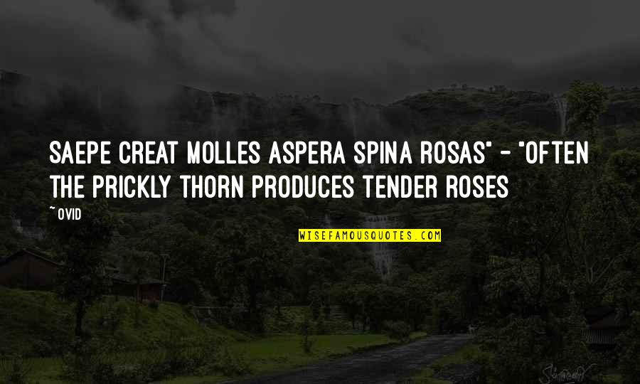 Prickly Quotes By Ovid: Saepe creat molles aspera spina rosas" - "Often