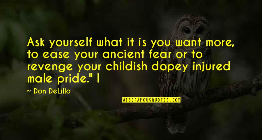 Pride And Fear Quotes By Don DeLillo: Ask yourself what it is you want more,