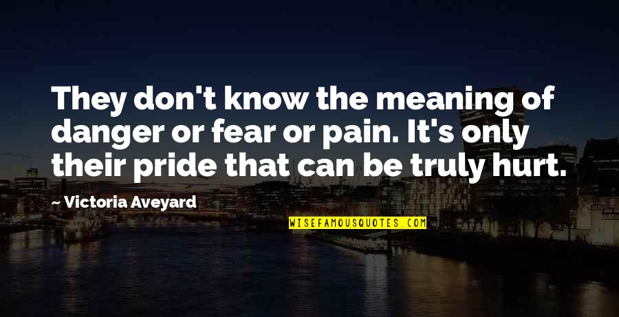 Pride And Fear Quotes By Victoria Aveyard: They don't know the meaning of danger or