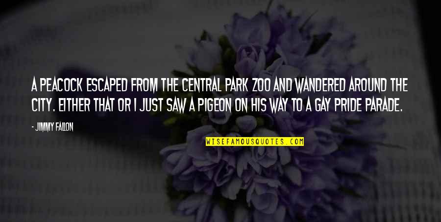 Pride Gay Quotes By Jimmy Fallon: A peacock escaped from the Central Park Zoo