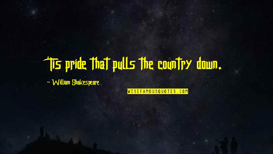 Pride In Your Country Quotes By William Shakespeare: 'Tis pride that pulls the country down.