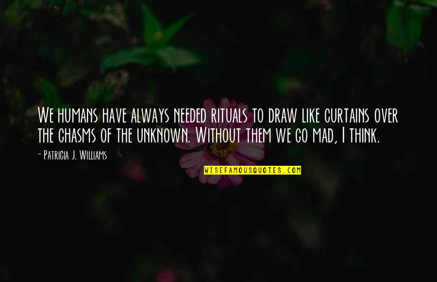 Prietenie Mortala Quotes By Patricia J. Williams: We humans have always needed rituals to draw Prietenie Mortala Quotes By Patricia J. Williams: We humans have always needed rituals to draw