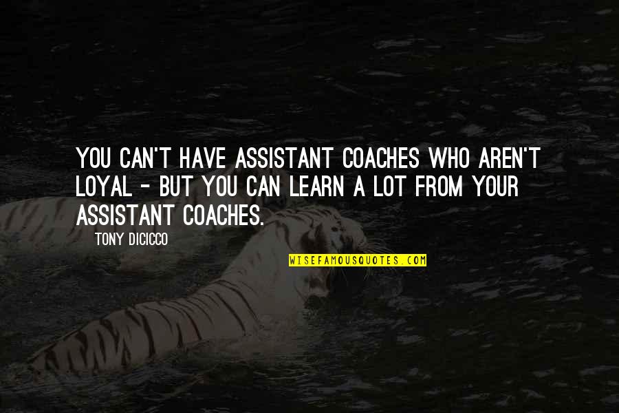 Primary Care Doctors Quotes By Tony DiCicco: You can't have assistant coaches who aren't loyal