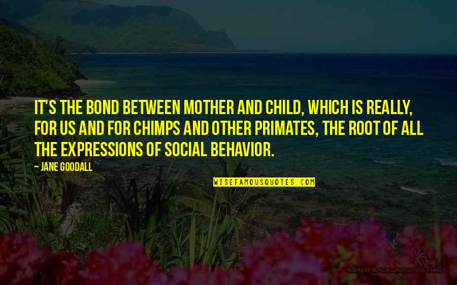 Primates Quotes By Jane Goodall: It's the bond between mother and child, which