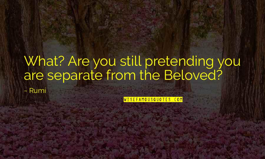 Primejdie Dex Quotes By Rumi: What? Are you still pretending you are separate