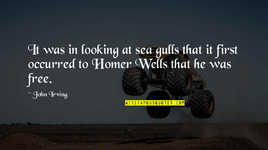 Primitive Living Quotes By John Irving: It was in looking at sea gulls that Primitive Living Quotes By John Irving: It was in looking at sea gulls that