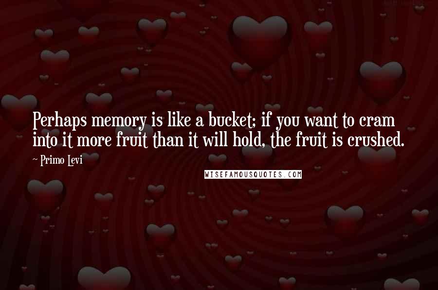 Primo Levi quotes: Perhaps memory is like a bucket; if you want to cram into it more fruit than it will hold, the fruit is crushed.