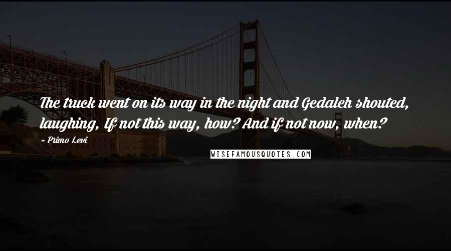 Primo Levi quotes: The truck went on its way in the night and Gedaleh shouted, laughing, If not this way, how? And if not now, when?