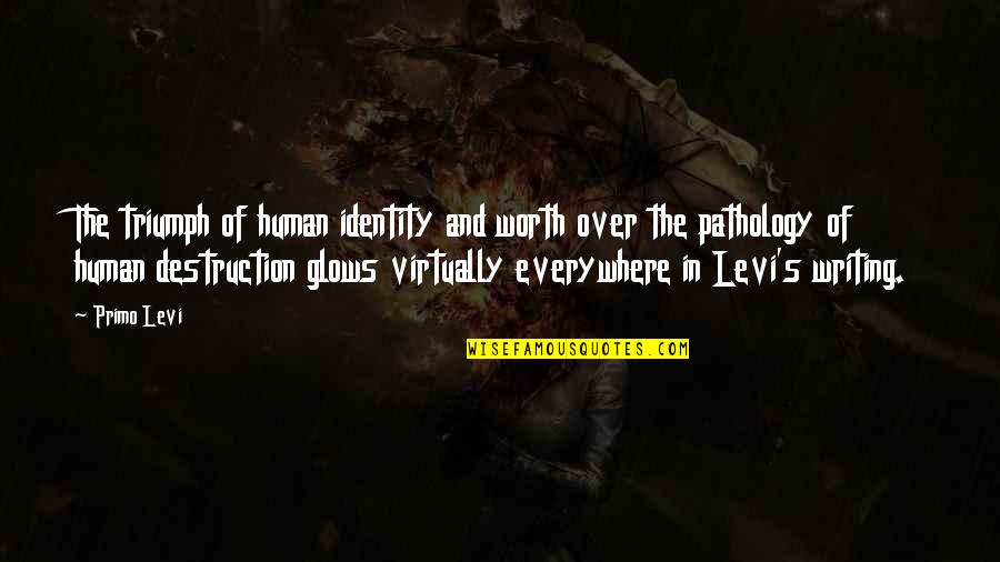 Primo Quotes By Primo Levi: The triumph of human identity and worth over Primo Quotes By Primo Levi: The triumph of human identity and worth over