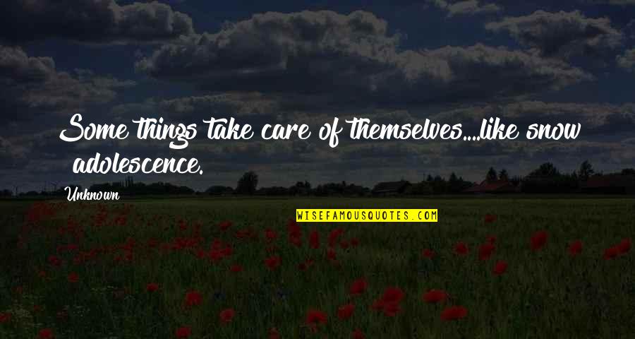 Prim's Quotes By Unknown: Some things take care of themselves....like snow &