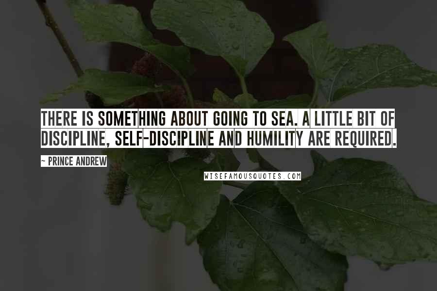 Prince Andrew quotes: There is something about going to sea. A little bit of discipline, self-discipline and humility are required.