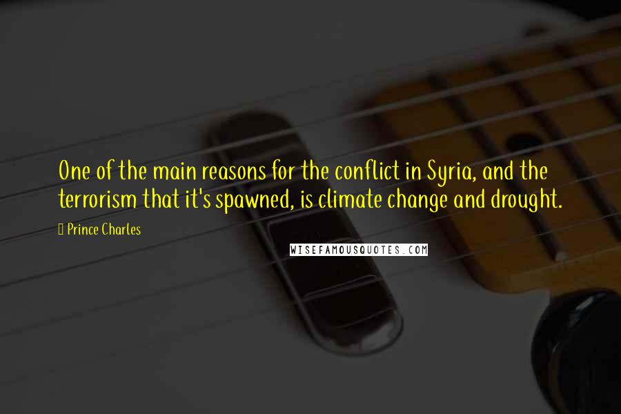 Prince Charles quotes: One of the main reasons for the conflict in Syria, and the terrorism that it's spawned, is climate change and drought.