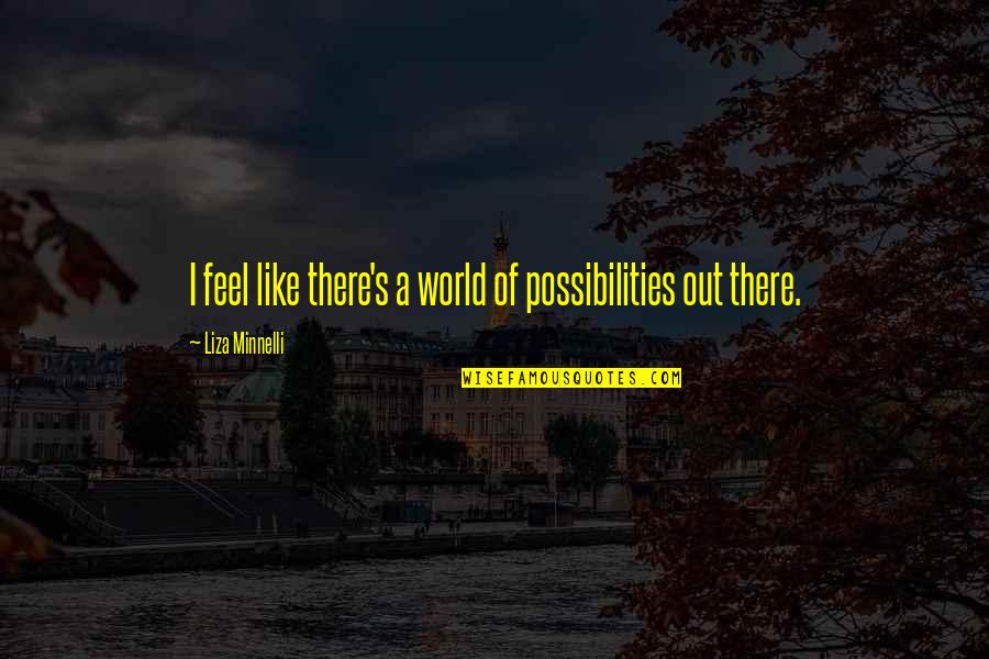 Prince Edward Vi Quotes By Liza Minnelli: I feel like there's a world of possibilities Prince Edward Vi Quotes By Liza Minnelli: I feel like there's a world of possibilities